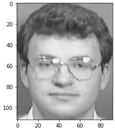 Facial Recognition data set sample